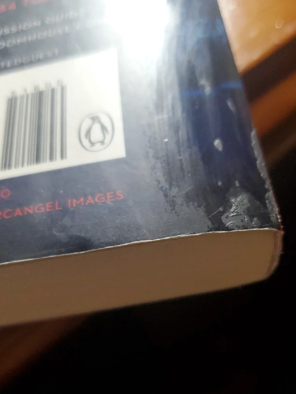 large paperback delivers gripping